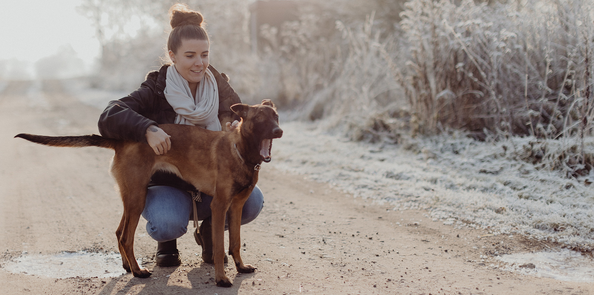 TEAM_Hunde_big_1920x955